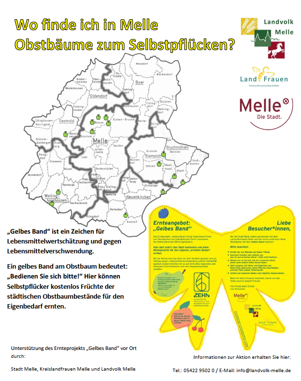 2026-09-01_Gelbes_Band-QR-Karte-1_Media.png