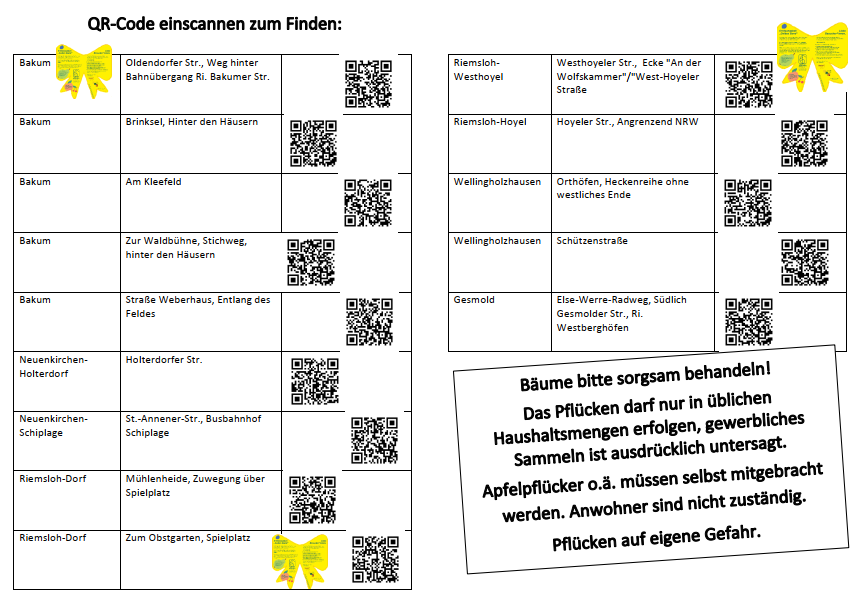 2026-09-01_Gelbes_Band-QR-Karte-2_Media.png